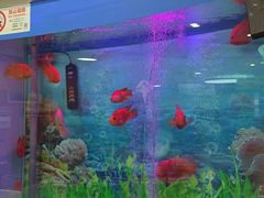 -雅悦齿科(顾村公园店)