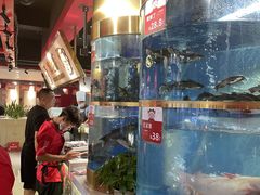 -蜀滋香鲜鱼美蛙火锅(339店)