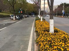 -几荷·恰似故人来(秀水广场店)
