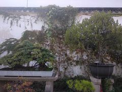 -赵元章肉骨烧(山塘街店)