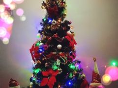 -麦德龙(嘉定店)