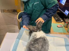 -雨林宠物医院 非犬猫异宠专科