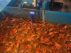 -星伦多 自助料理(圆融店)