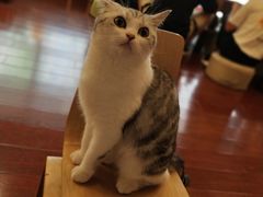 -万达广场(东莞厚街店)