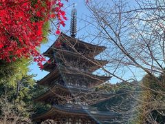 -醍醐寺