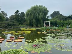 -国家植物园南园