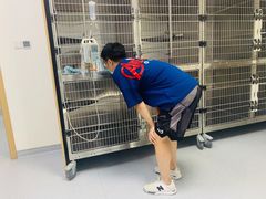 -艾贝尔宠物医院·24H转诊中心·肿瘤猫专科(江宁双龙店)