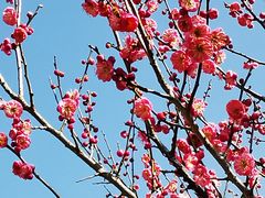 -杭州六谷生态休闲农庄有限公司