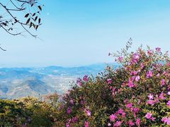 -广州市石门国家森林公园