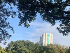 -晓港公园