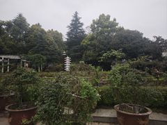 -南山植物园