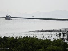 -福田红树林生态公园