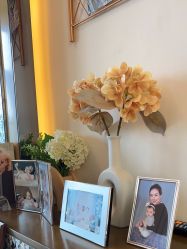 -baby bella小贝拉母婴护理中心(珠海希尔顿店)
