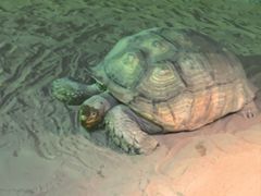-泉城欧乐堡海洋极地世界