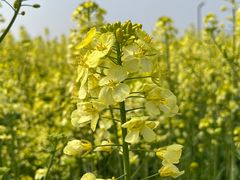 -中国天府农业博览园