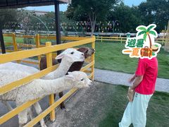 -宁波九龙湖开元度假村