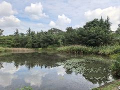 -白鹭湾湿地公园