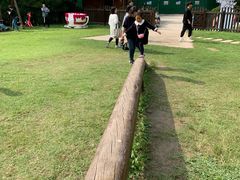 -东平国家森林公园