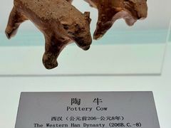 -衢州市博物馆