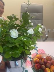 -产后帮产后修复(首城国际店)