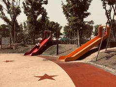 -春花秋色城市公园