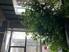 -了不起的考拉咖啡店(高新店)