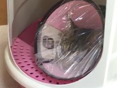 -联合动物医院(光谷诊疗中心)
