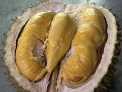 -都念榴莲·城市榴莲