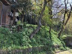 -紫金山天文台