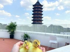 -苏州丝绸博物馆