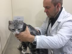 -荣耀金沙动物医院(清江西路店)