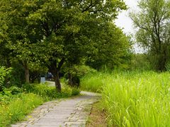 -西溪国家湿地公园