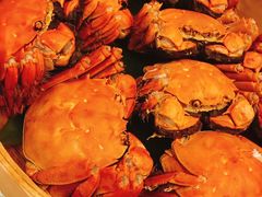 成隆行精选大闸蟹-成隆行·蟹王府(九江路店)