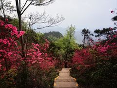 -十九峰景区-倒脱靴