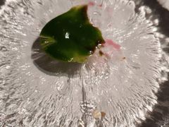 -京兆尹(雍和宫店)