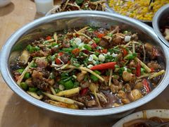 -食神又名厕所兔