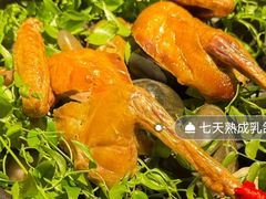 -弦月窗LUNETTE BY AMANDA(复兴路店)