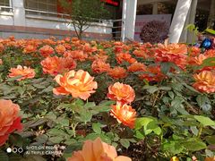 -中国计量大学(西校区)