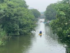 -贡湖湾湿地公园
