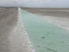 -东台吉乃尔湖