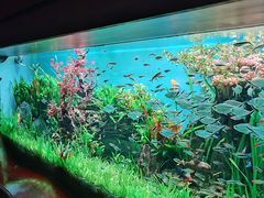 -太平洋海底世界