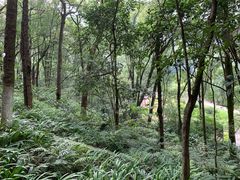 -西南交通大学(峨眉校区)