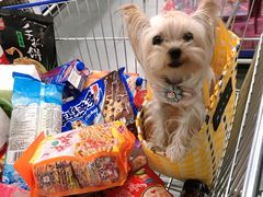 -麦德龙(郑东店)