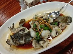 -顺德了能馆(虎门店)