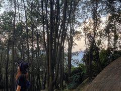 -火炉山森林公园