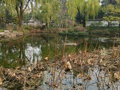 -秋霞圃