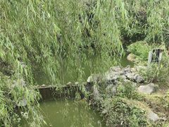 -杭州西湖风景名胜区-三生石
