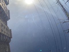 -天猫养车贴膜轻改·蓝电(优匹康桥东路店)