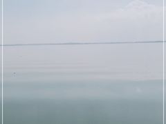 -梁子湖东篱老屋生态庄园