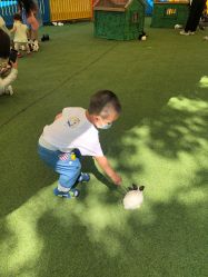 -萌宠亲子动物乐园(槐房万达店)